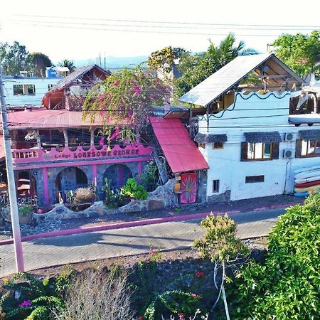 Lonesome George Ecolodge Puerto Ayora  Exterior photo