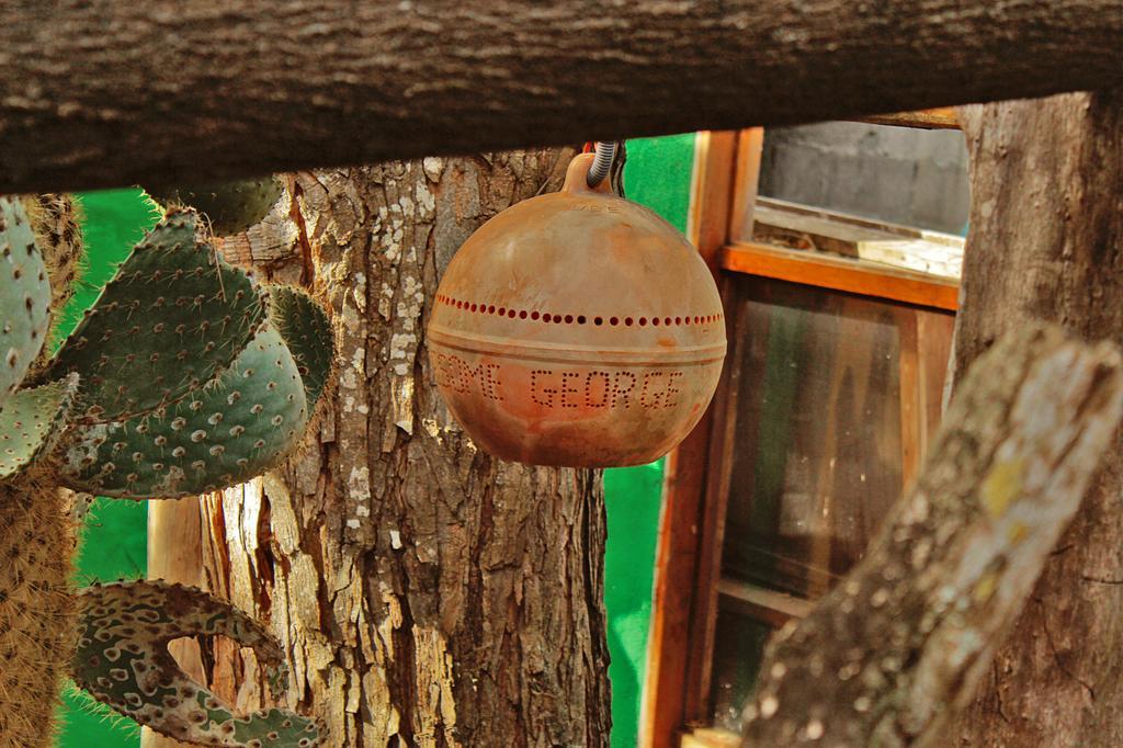 Lonesome George Ecolodge Puerto Ayora  Exterior photo