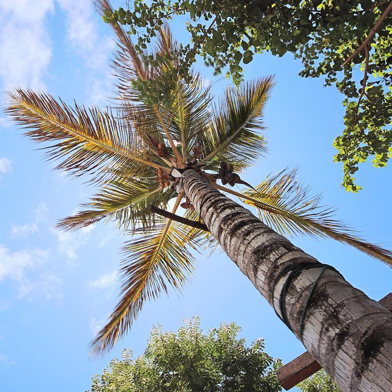 Lonesome George Ecolodge Puerto Ayora  Exterior photo