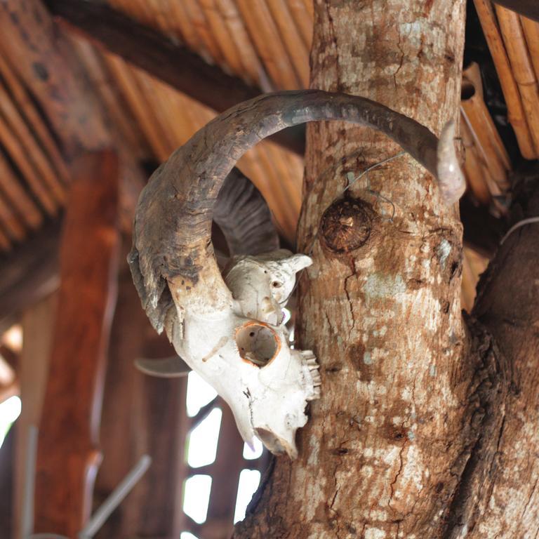 Lonesome George Ecolodge Puerto Ayora  Exterior photo