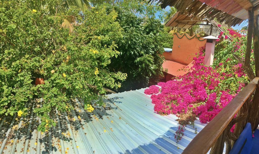 Lonesome George Ecolodge Puerto Ayora  Exterior photo